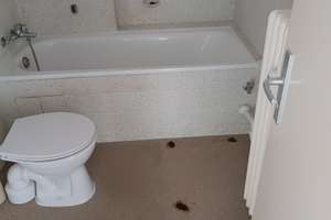 Schöne 3 Zimmer Wohnung in Walsum – 47178 Vierlinden, Duisburg – Vorschaubild 7
