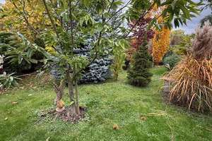 Wohnen wie im Park - Familienidylle mit großem Garten und Einliegerwohnung – Die vollständige Adresse der Immobilie erhältst du vom Anbieter., 74076 Heilbronn, Heilbronn – Vorschaubild 22