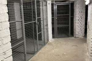 Bezugsfreie helle 2-Zimmer QG Altbauwohnung in der Nähe vom Schloss Charlottenburg (provisionsfrei) – Mindener Straße 3, 10589 Charlottenburg, Berlin – Vorschaubild 10