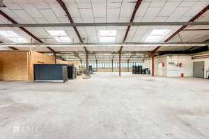 Arbeiten und Wohnen: Landhaus mit Produktionshallen und Spänesilo! – Borken (Kreis) – Vorschaubild 23