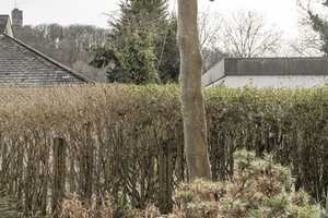 Townhouse Ölmühlweg - direkt am Woogtal mit Burgblick, Garage und kleinem Garten – Hochtaunuskreis – Vorschaubild 38
