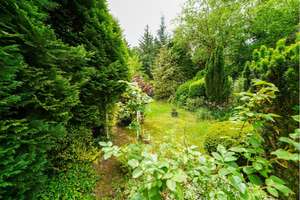 Einfamilienhaus mit Garten, Garage und viel Entwicklungspotenzial - Bremerhaven Schiffdorferdamm – Die vollständige Adresse der Immobilie erhältst du vom Anbieter., 27574 Schiffdorferdamm, Bremerhaven – Vorschaubild 8