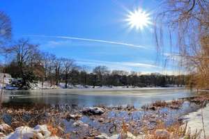 Property thumbnail 10