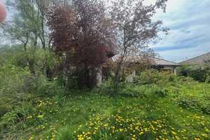 PARKGRUNDSTÜCK mit alter Villa in unwiderstehlicher, unverbaubarer Südlage – Ostallgäu (Kreis) – Vorschaubild 7