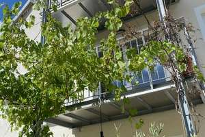 Property thumbnail 24