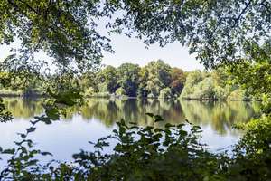 Property thumbnail 14