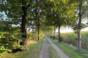 Landleben pur in Charlottendorf! – Oldenburg (Kreis) – Vorschaubild 20