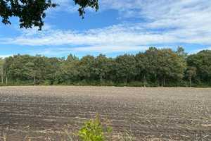 Landleben pur in Charlottendorf! – Oldenburg (Kreis) – Vorschaubild 32