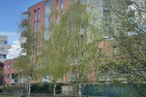 KP AUF ANFRAGE - Sonnige 2-Zi.-Wohnung - Balkon - Weitblick – frei, Top-Lage München nahe MIRA & BMW – Felsennelkenanger 14, 80937 Am Hart, München – Vorschaubild 2