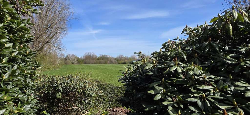 Immobilie in Weener - Rückwärtig unverbautes EFH in Hafennähe! - Bild 4