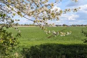 Property thumbnail 17