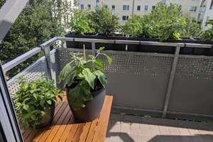 Helle, gut geschnittene 2-Zimmer-Wohnung mit 2 Balkonen – Die vollständige Adresse der Immobilie erhältst du vom Anbieter., 80992 Alt-Moosach, München – Vorschaubild 6
