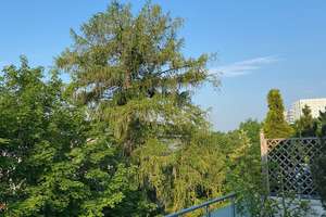 Maisonette-DG mit 37 m² Süd-Dachterrasse, Grünblick & Designerbad – provisionsfrei | TG inklusive