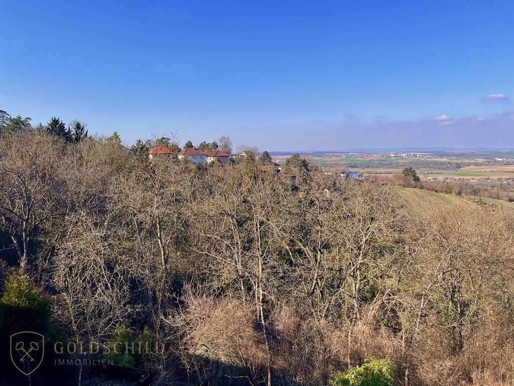 Immobilie in Gerlingen - Terrassenwohnung mit herrlichem Weitblick in ruhiger Hanglage - Bild 0