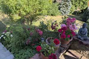 * Urlaubsfeeling pur * 1 Familienhaus mit traumhaften Blick in Niedernhausen OT...... – Rheingau-Taunus-Kreis – Vorschaubild 23