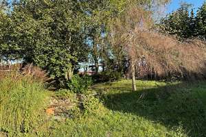 Charmantes 2,5-Zimmer-Einfamilien-Holzhaus in idyllischer Waldsiedlung mit großzügigem Garten  – In der Lohe 2, 85416 Langenbach – Vorschaubild 33