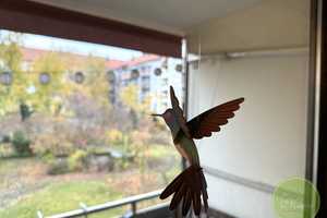 IHRE neue TOP-Wohnung ** 2 Zimmer ** 67 qm ** Balkon ** Tiefgarage ** zentrale Lage in Nürnberg ** – Nürnberg – Vorschaubild 12