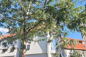 Stadtwohnung mit Wintergarten, Aufzug u. 2 X TG-Stellplätze – Frankfurter Str. 15, 74072 Heilbronn, Heilbronn – Vorschaubild 4