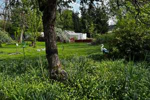 Property thumbnail 12