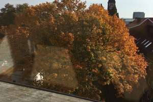 Ravensberg : Traum-Maisonette mit Blick über ganz Kiel, EBK / Balkon, Holzboden Dusche – Die vollständige Adresse der Immobilie erhältst du vom Anbieter., 24105 Ravensberg, Kiel – Vorschaubild 29
