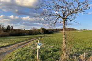 Preiswertes 6-Zimmer-Einfamilienhaus in Deudesfeld – Vulkaneifel (Kreis) – Vorschaubild 18