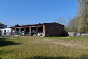 Kranenbruch 14,  Kapitalanlage Haus, Hof und Wald  mit besonderem Flair! – Kranenbruch 14, 41366 Schwalmtal – Vorschaubild 9
