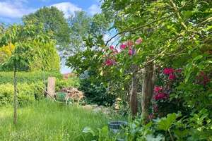 Property thumbnail 14