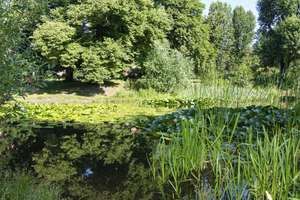 Hof-Juwel im gepflegten Gründerzeit-Ensemble, fußläufig zum See, provisionsfrei – Rennbahnstrasse 24, 13086 Weißensee, Berlin – Vorschaubild 27