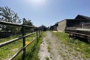 Charmanter Resthof mit vielseitigen Nutzungsmöglichkeiten und Weidefläche für Pferdehaltung – Die vollständige Adresse der Immobilie erhältst du vom Anbieter., 53937 Schleiden – Vorschaubild 46