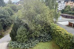 Frisch renovierte 3-Raum mit neuer EBK in Kappel!!! – Chopinstr.  35, 9119 Kappel, Chemnitz – Vorschaubild 14