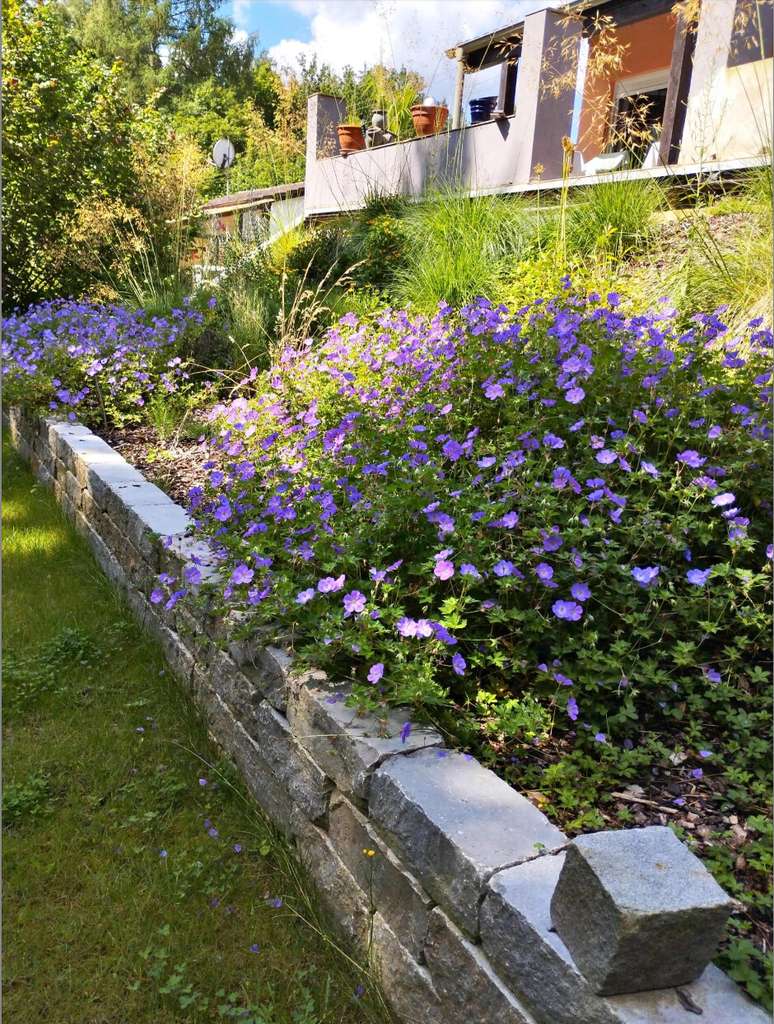 Immobilie in Gessertshausen - Wochenendhaus in Hanglage mit großem Grundstück - Bild 4