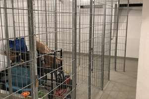 Property thumbnail 17