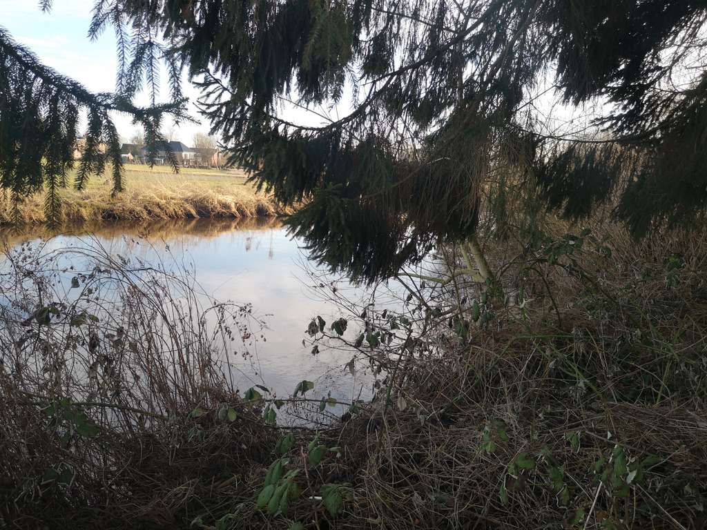 Immobilie in Kellinghusen - Renovierungsbedürftiges EFH in traumhafter Lage direkt an der Stör in Kellinghusen zu verkaufen - Bild 2