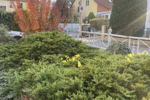 Charmantes Zuhause in Dresden-Leuben: Ruhige Lage nahe zum Volkspark und zum Lockwitzbach – Dresden – Vorschaubild 9