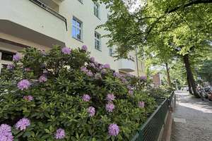 Provisionsfreie kernsanierte 5,5 Zimmer Wohnung in Schmagendorf