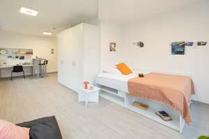 Komplett möbliertes, modernes Studentenapartment-S Platin- im Darmstadt-19m²