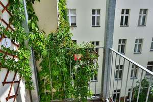 Bezugsfrei! 3-Zimmer-Altbau mit Blick auf den Schillerpark – 2 Balkone – Die vollständige Adresse der Immobilie erhältst du vom Anbieter., 13349 Wedding, Berlin – Vorschaubild 17