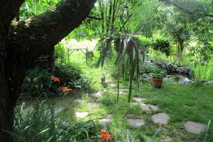 Schöne Doppelhaushälfte mit Einliegerwohnung u. großem Garten - Privatverkauf ohne Makler - Preis VB – Odenwaldkreis – Vorschaubild 6