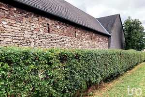 Einzigartiger Gutshof in Birgel: Denkmalgeschütztes Ensemble mit historischem Charme – Vulkaneifel (Kreis) – Vorschaubild 3