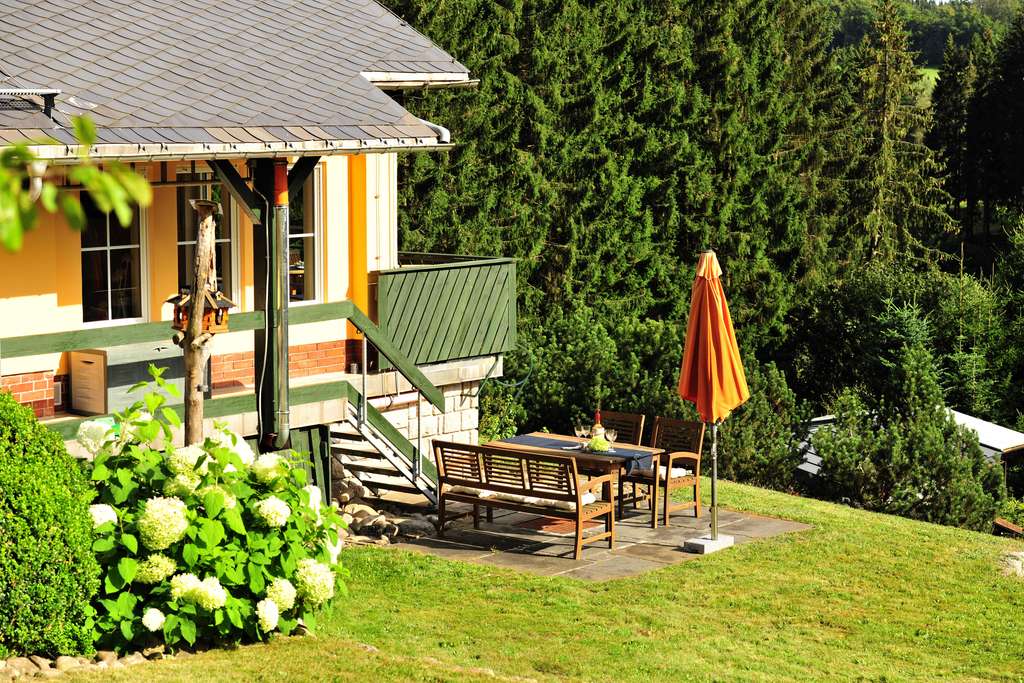 Immobilie in Schönheide - Stilvolles Haus mit Garten, Kamin & Sauna – Ruhe und Erzgebirgs-Charme in bester Naturkulisse - Bild 1