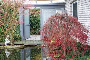 Exklusives Einfamilienhaus in ruhiger zentraler Lage  – Die vollständige Adresse der Immobilie erhältst du vom Anbieter., 49356 Diepholz – Vorschaubild 3