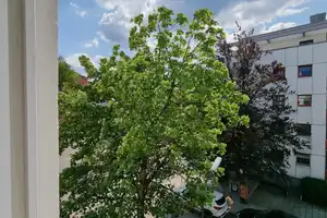 Property thumbnail 23