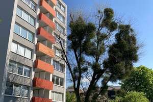 47120/17 Geräumige 1-Zimmer-Wohnung mit Balkon in Düsseldorf-Holthausen – 40589 Holthausen, Düsseldorf – Vorschaubild 6