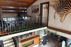 Etwas ganz Besonderes: Freistehendes Architektenhaus mit ELW, Pool, Doppelgarage und großem,sonnigen – Die vollständige Adresse der Immobilie erhältst du vom Anbieter., 74392 Freudental – Vorschaubild 6