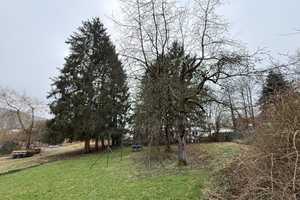 Voll vermietetes 3-Familienhaus plus Bauplatz – Main-Kinzig-Kreis – Vorschaubild 8
