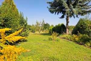 Einfamilienhaus mit großem Garten – Rhein-Pfalz-Kreis – Vorschaubild 5