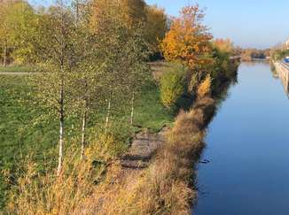 Grüne Umgebung am Kanal