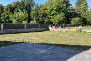 Doppelhaushälfte, 47929 Grefrath/ Mülhausen – Grasheider Straße 1, 47929 Viersen (Kreis) – Vorschaubild 8