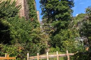 Ungewöhnliche Altbauwohnung mit großem Garten – Bonn – Vorschaubild 1