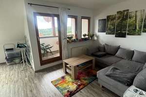 Schöne 2 Zimmer Dachgeschosswohnung in Bitz – Eschenweg 5, 72475 Bitz – Vorschaubild 10